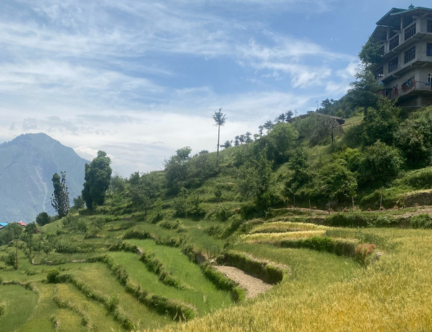 Untitled design (10)