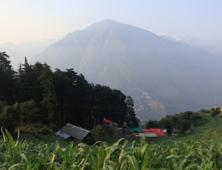 Untitled design (21)